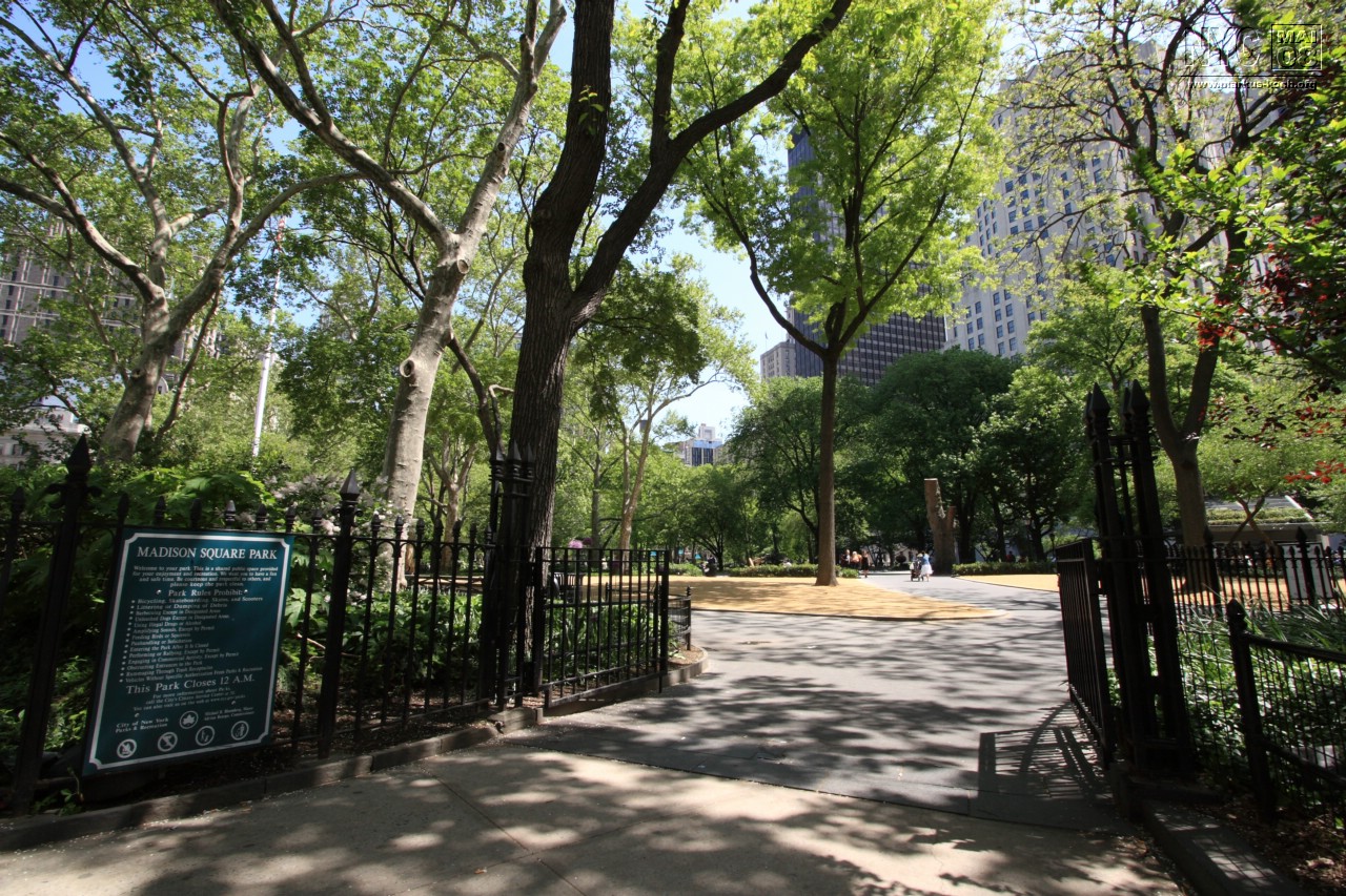 080514_nyc_tag3_mk021