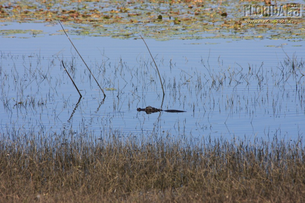 20101008_way_to_cape_coral_mk068
