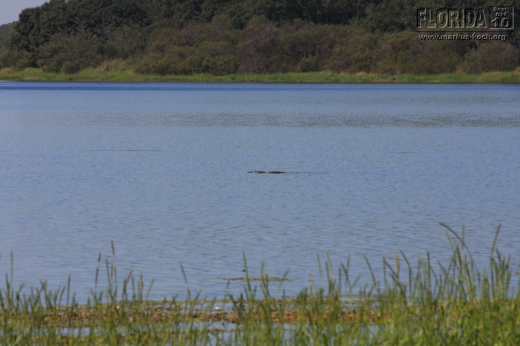 20101008_way_to_cape_coral_mk111