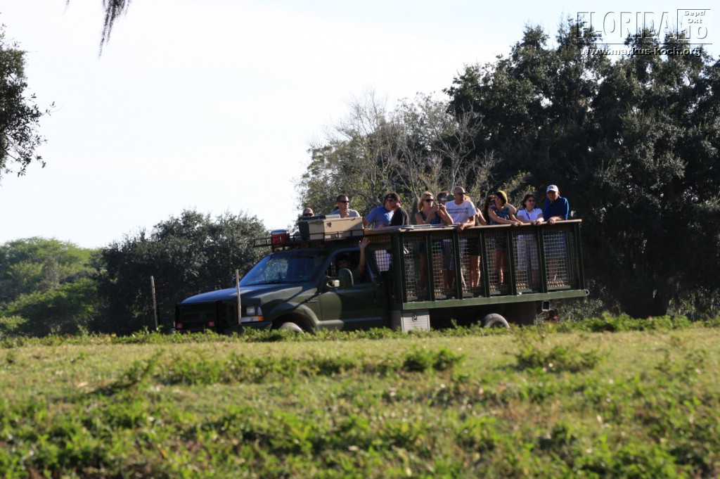 20101014_cape_coral6_busch_gardens_mk333