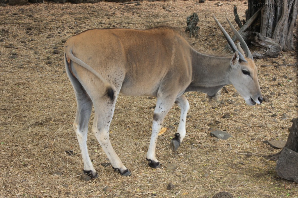 20121021_tag4_mru_cesalapark_mk154