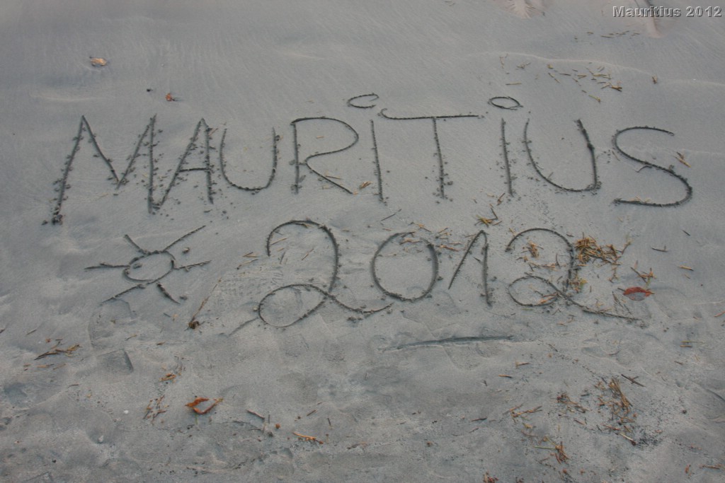 20121021_tag4_mru_cesalapark_mk199