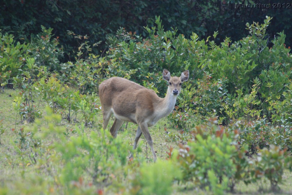 20121022_tag5_mru_naturetrails_mk050