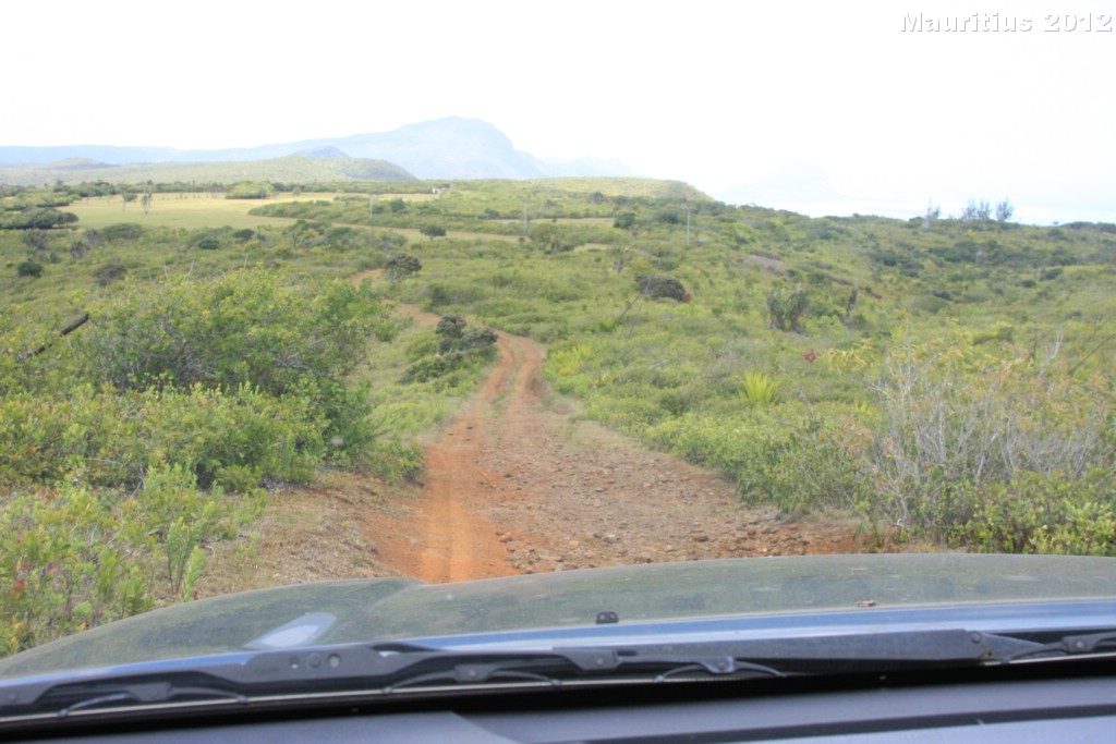 20121022_tag5_mru_naturetrails_mk073