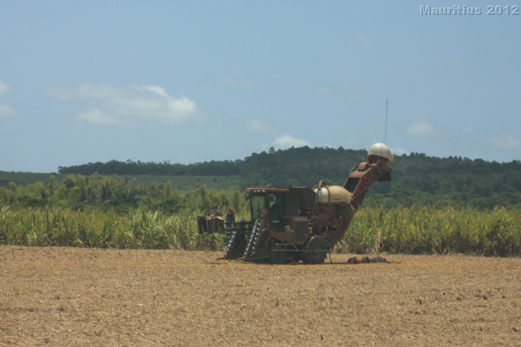 20121022_tag5_mru_naturetrails_mk093
