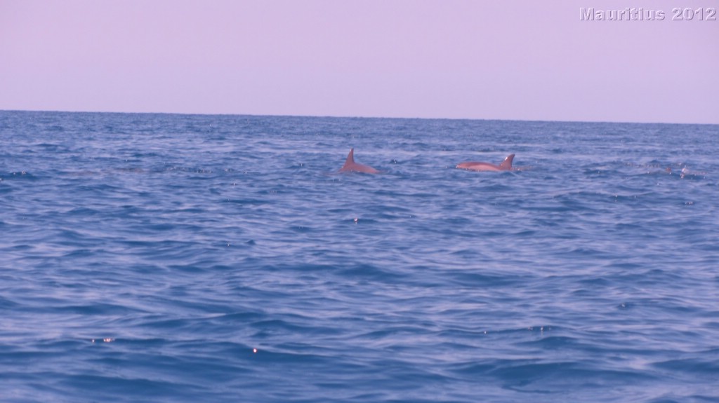 20121023_tag6_mru_mk020