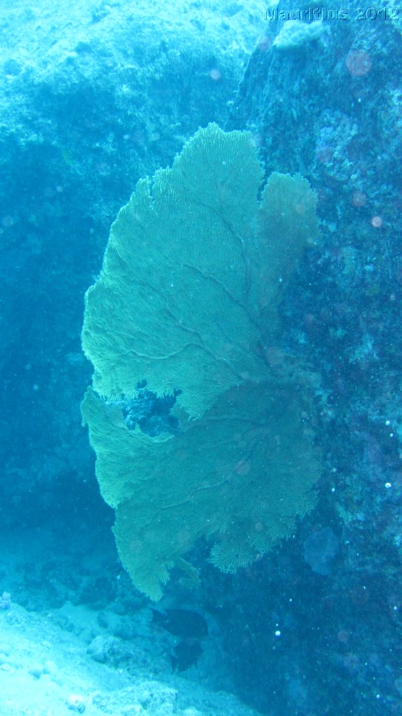 20121027_tag10_mru_tauchen2_mk018