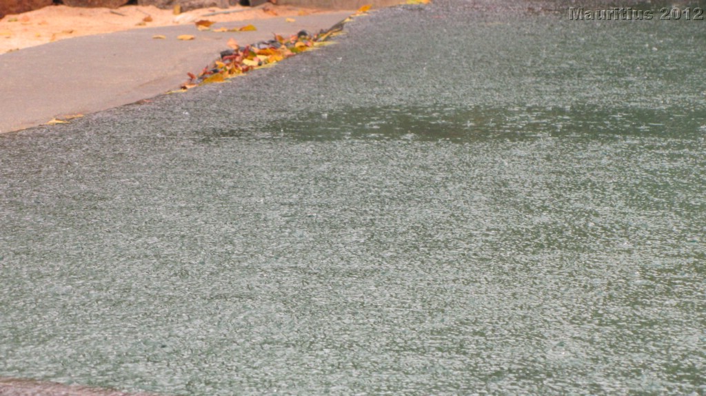 20121029_tag12_mru_mk012_0