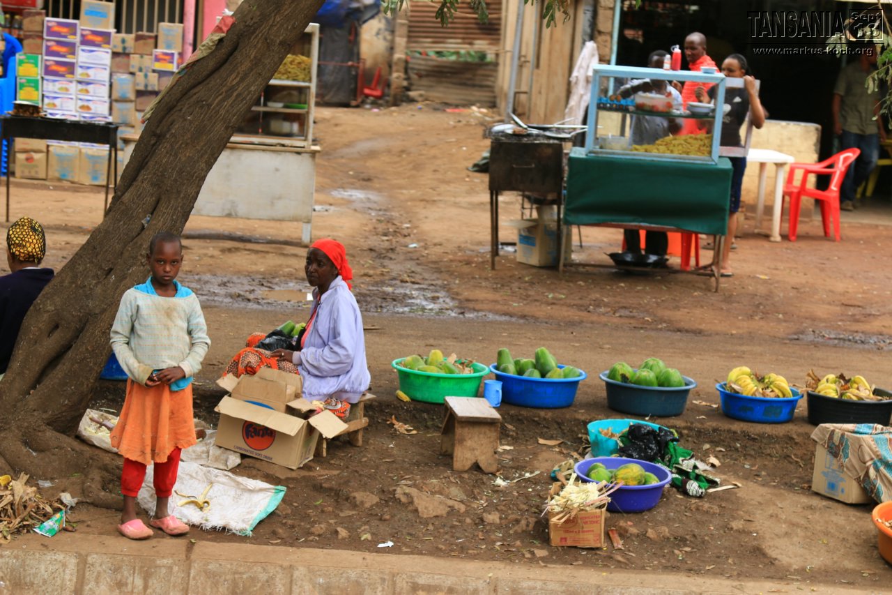 20131002_lake_manyara_np_flug_sansibar_mk131