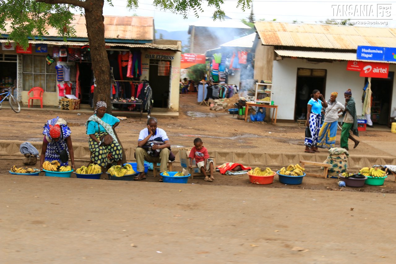 20131002_lake_manyara_np_flug_sansibar_mk135