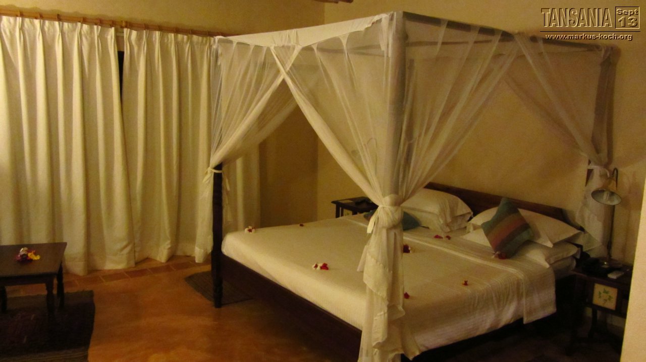 20131002_lake_manyara_np_flug_sansibar_mk246