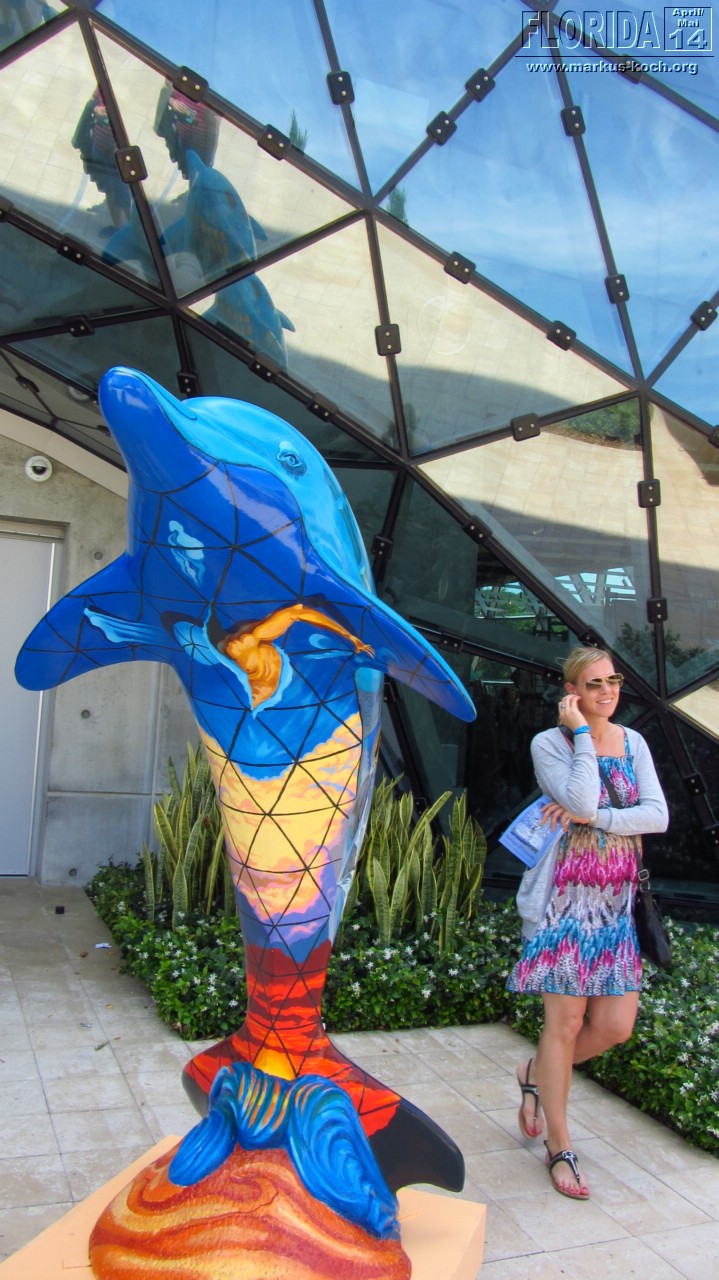 20140427_st_pete_dali_pass-a-grille_capecoral_mk19