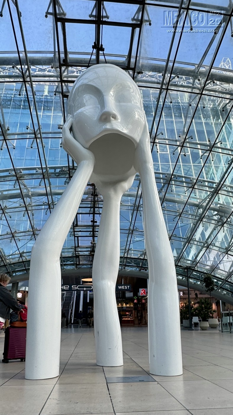 20250316-24_mexiko_baja_california_sur_mk0015