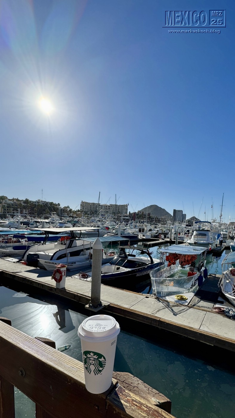 20250316-24_mexiko_baja_california_sur_mk0134