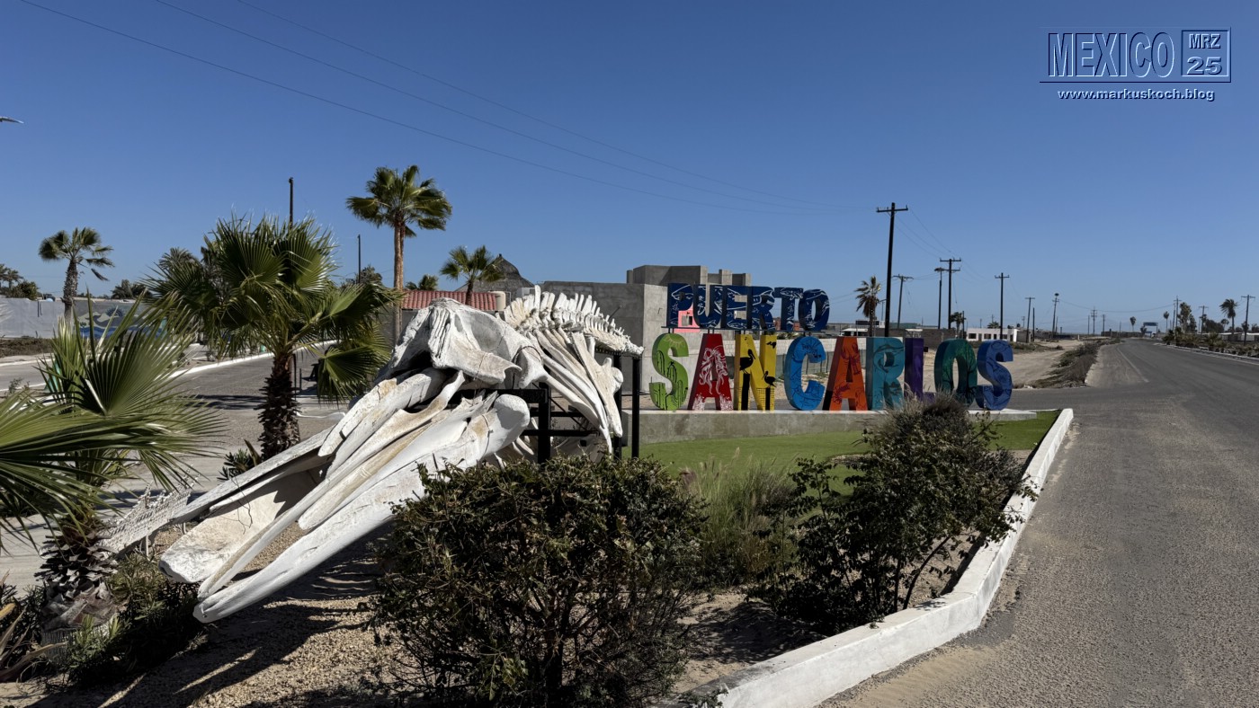 20250316-24_mexiko_baja_california_sur_mk0387