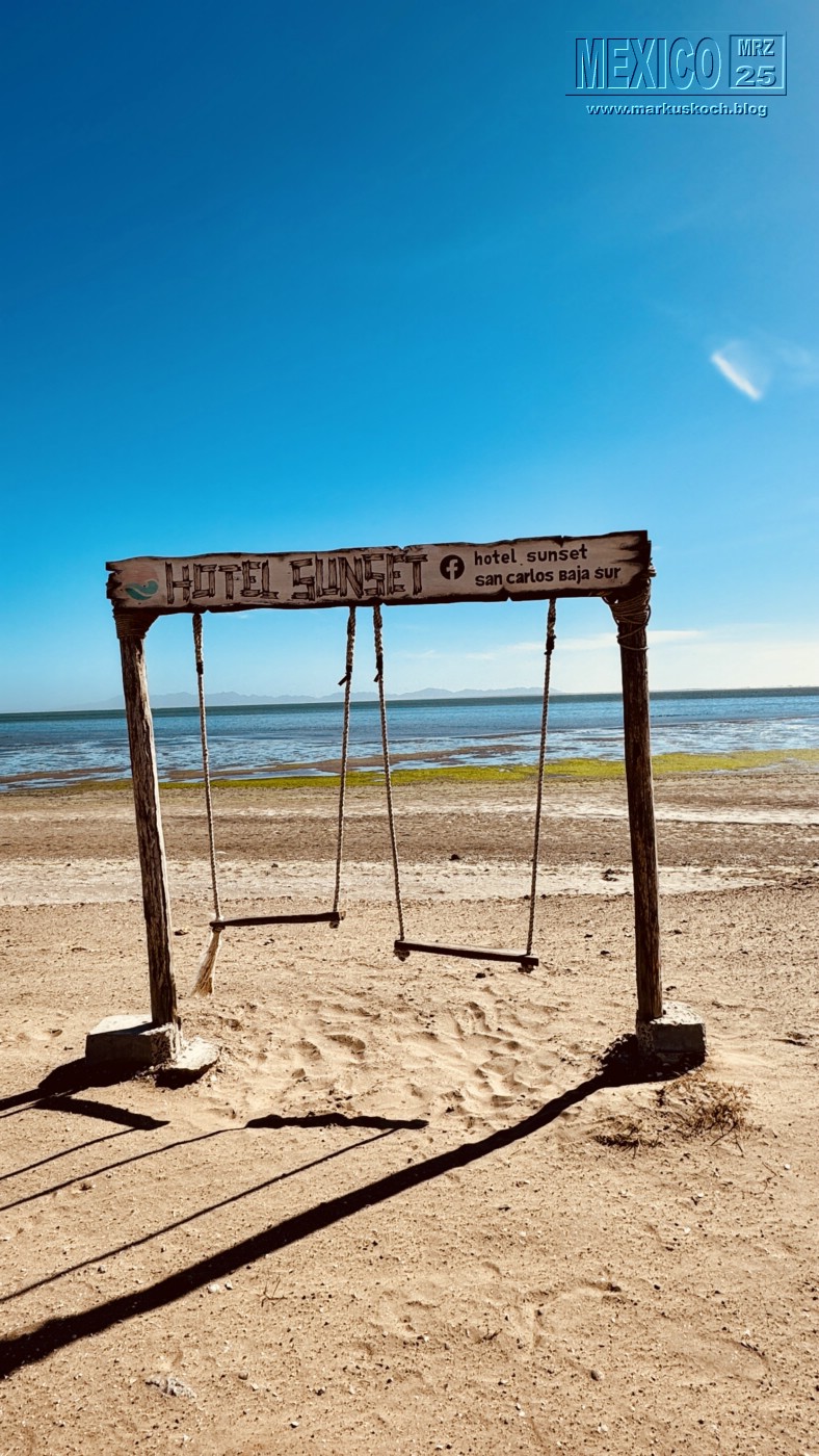 20250316-24_mexiko_baja_california_sur_mk0395