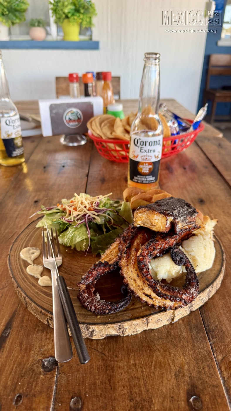 20250316-24_mexiko_baja_california_sur_mk0402