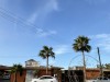 20250316-24_mexiko_baja_california_sur_mk0408
