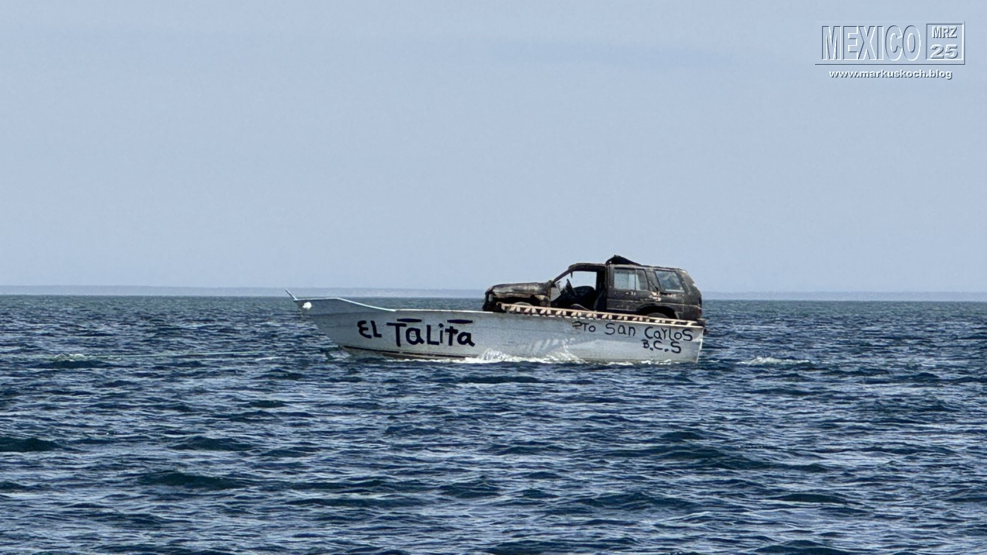 20250316-24_mexiko_baja_california_sur_mk0493