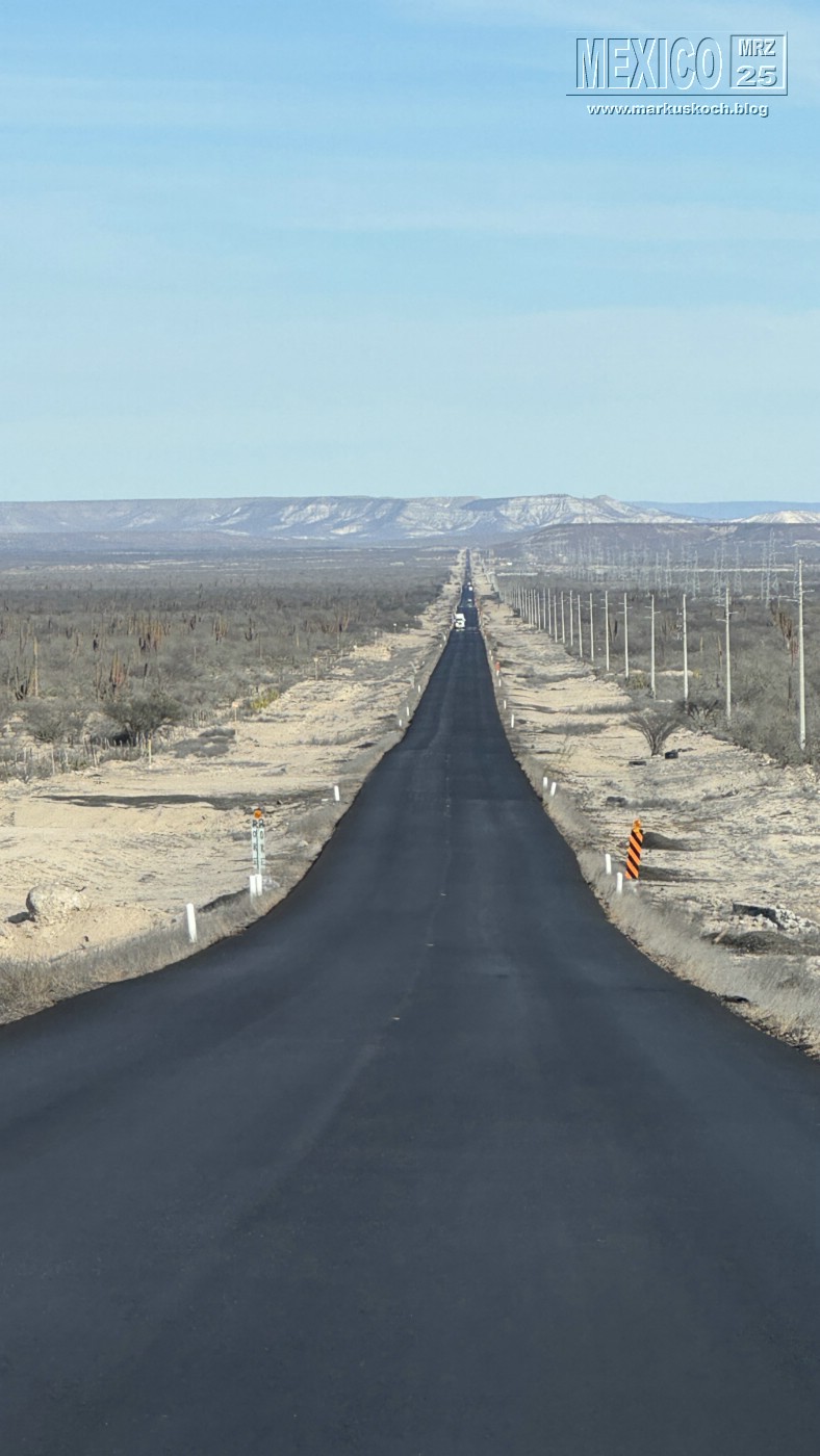 20250316-24_mexiko_baja_california_sur_mk0532