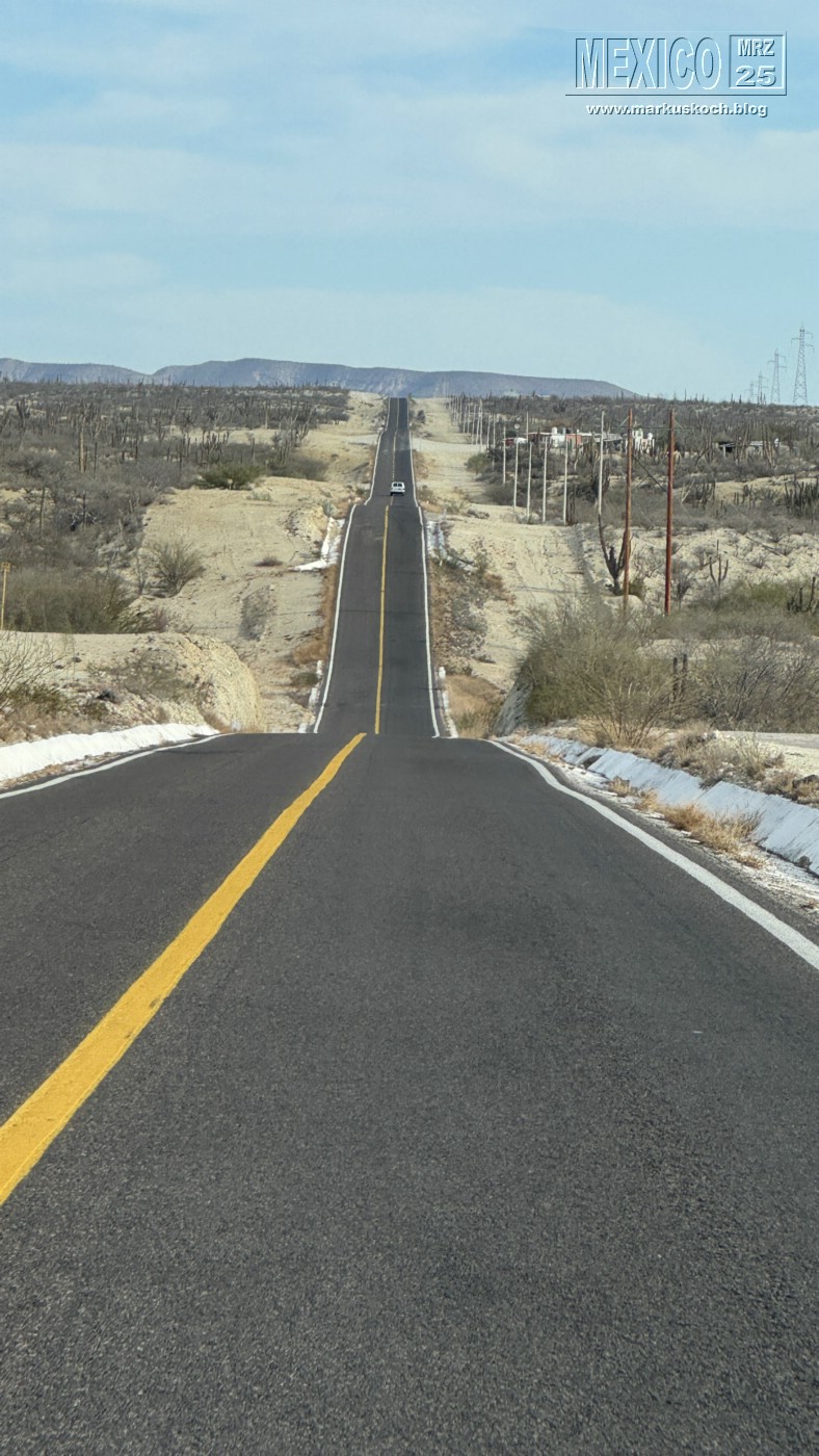 20250316-24_mexiko_baja_california_sur_mk0535