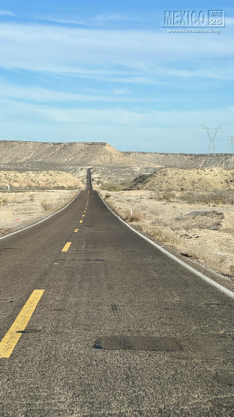 20250316-24_mexiko_baja_california_sur_mk0537