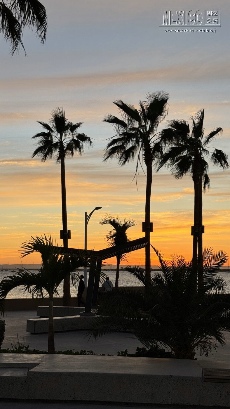 20250316-24_mexiko_baja_california_sur_mk0556