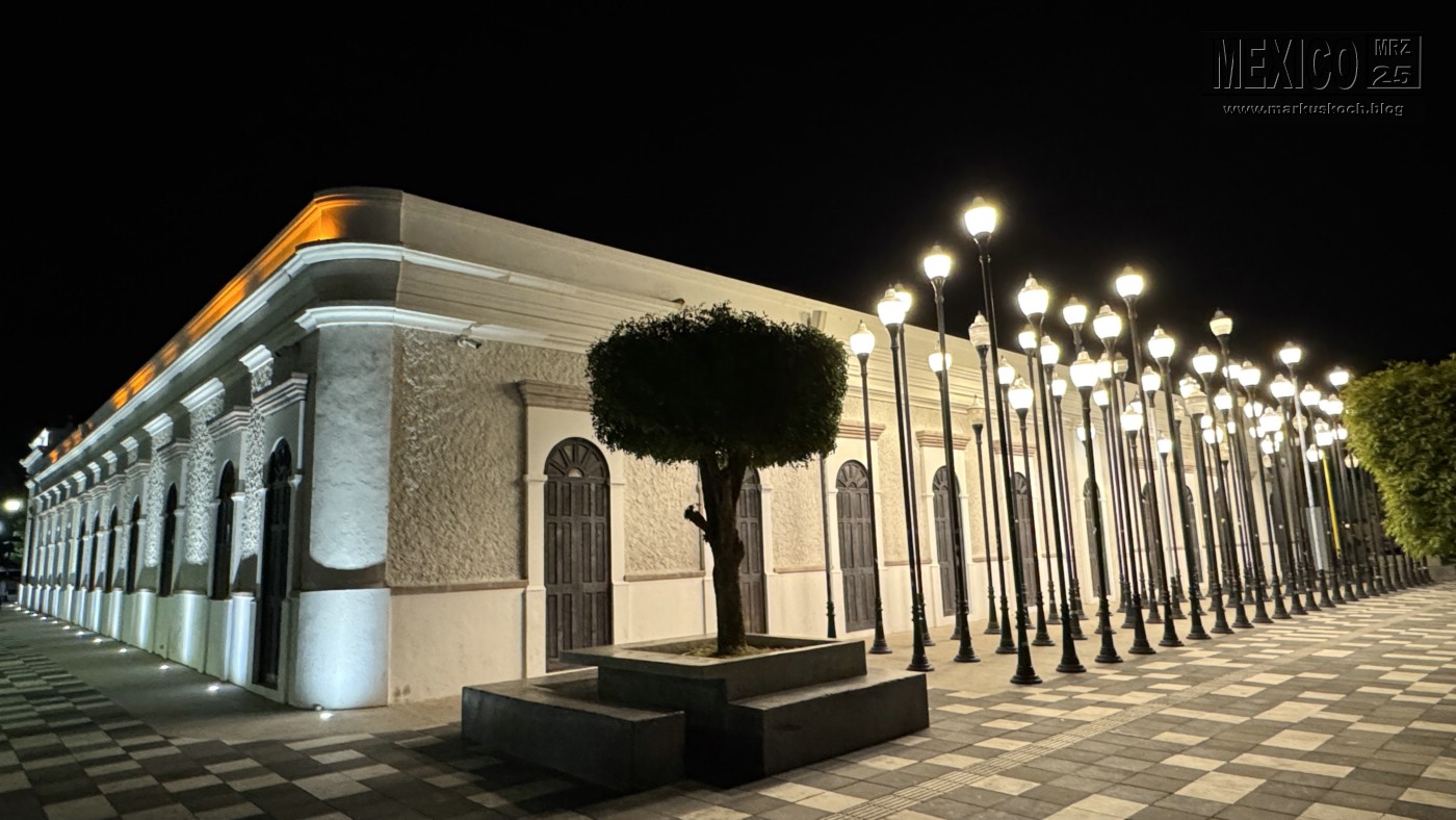 20250316-24_mexiko_baja_california_sur_mk0587