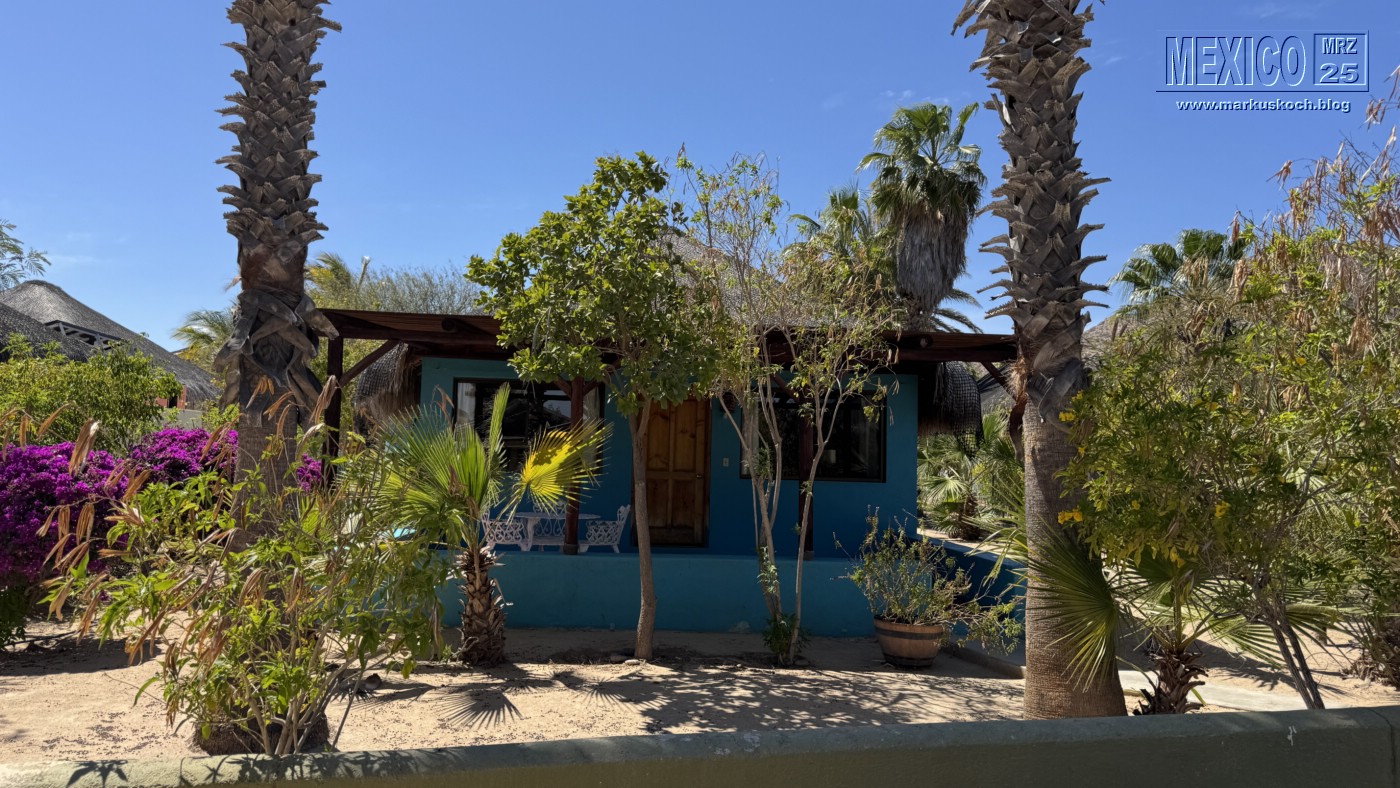 20250316-24_mexiko_baja_california_sur_mk0820