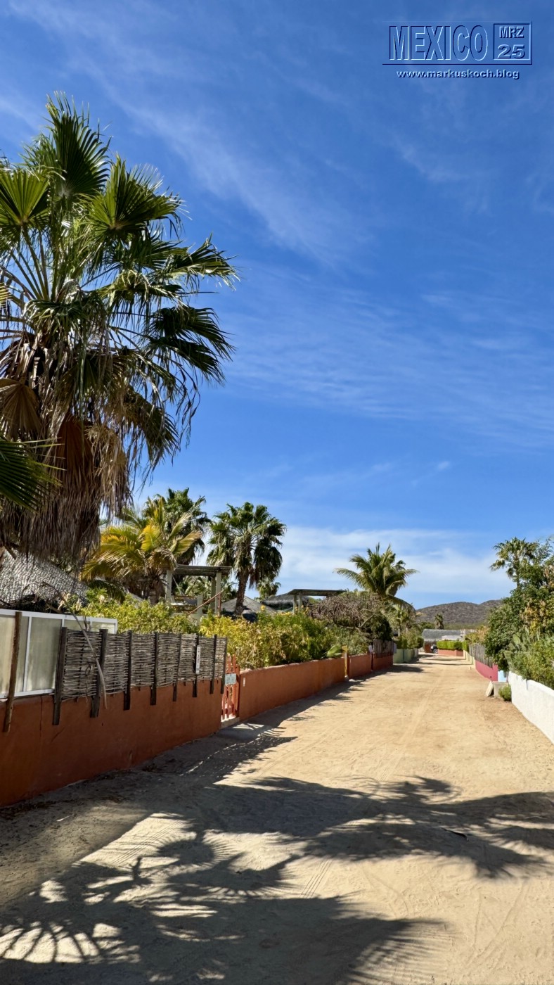 20250316-24_mexiko_baja_california_sur_mk0828