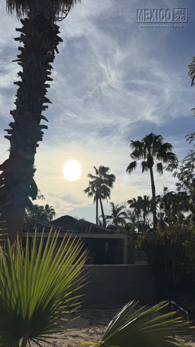 20250316-24_mexiko_baja_california_sur_mk0869