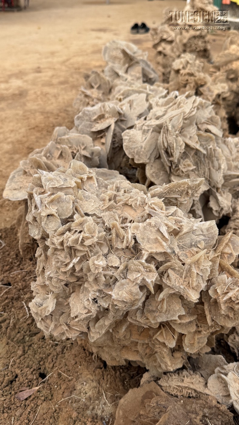 20250903-13_magiclife_penelope_beach_djerba_tunesien_mk198