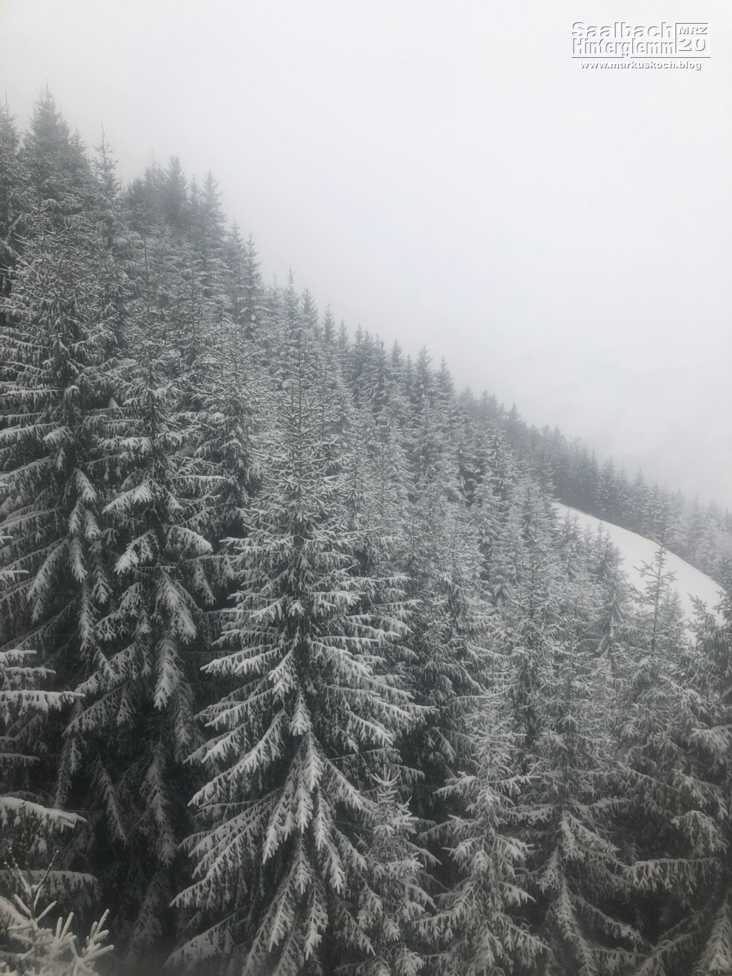 20200229-0307_skiing_saalbach-hinterglemm_mk110