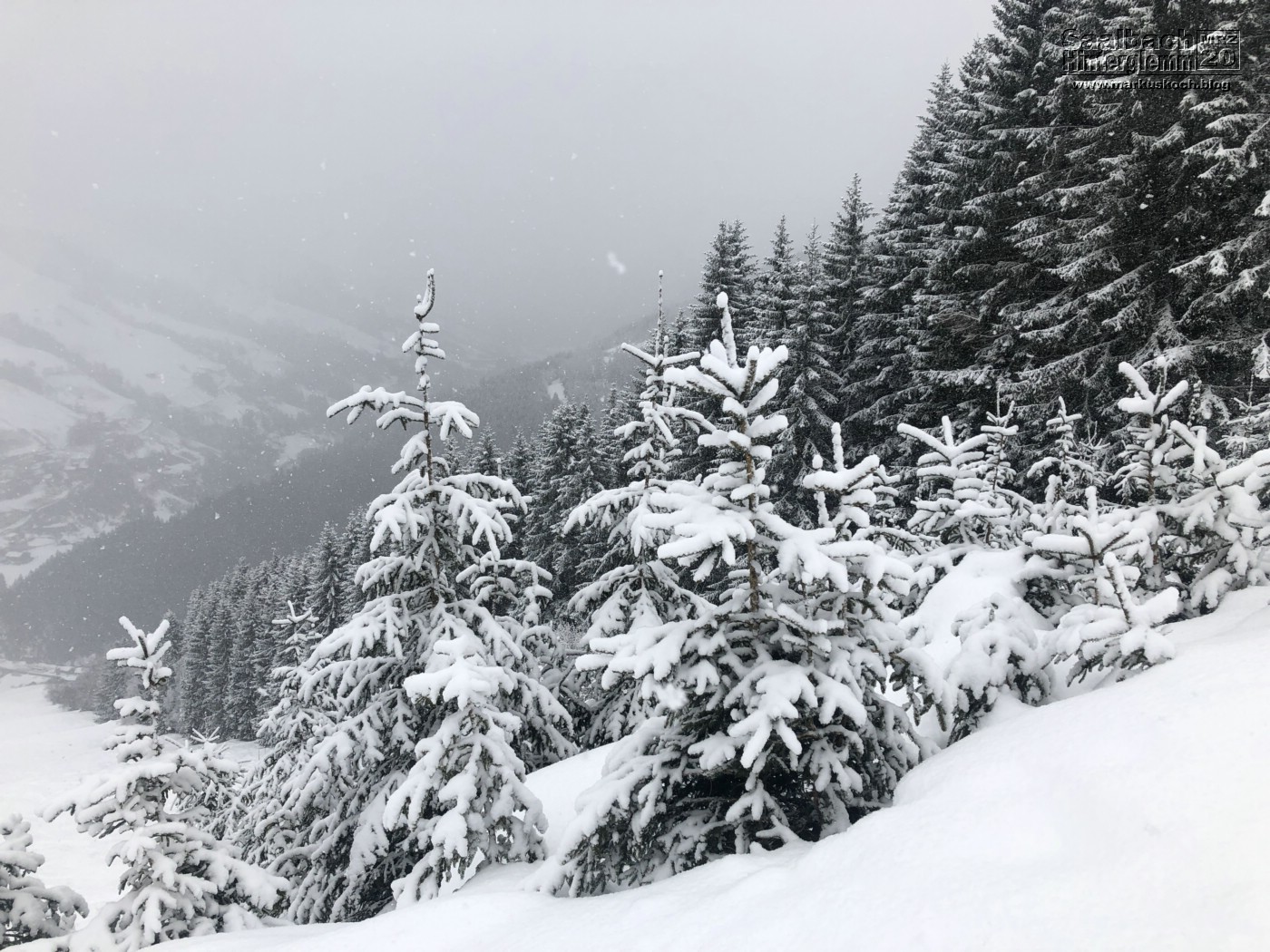 20200229-0307_skiing_saalbach-hinterglemm_mk112