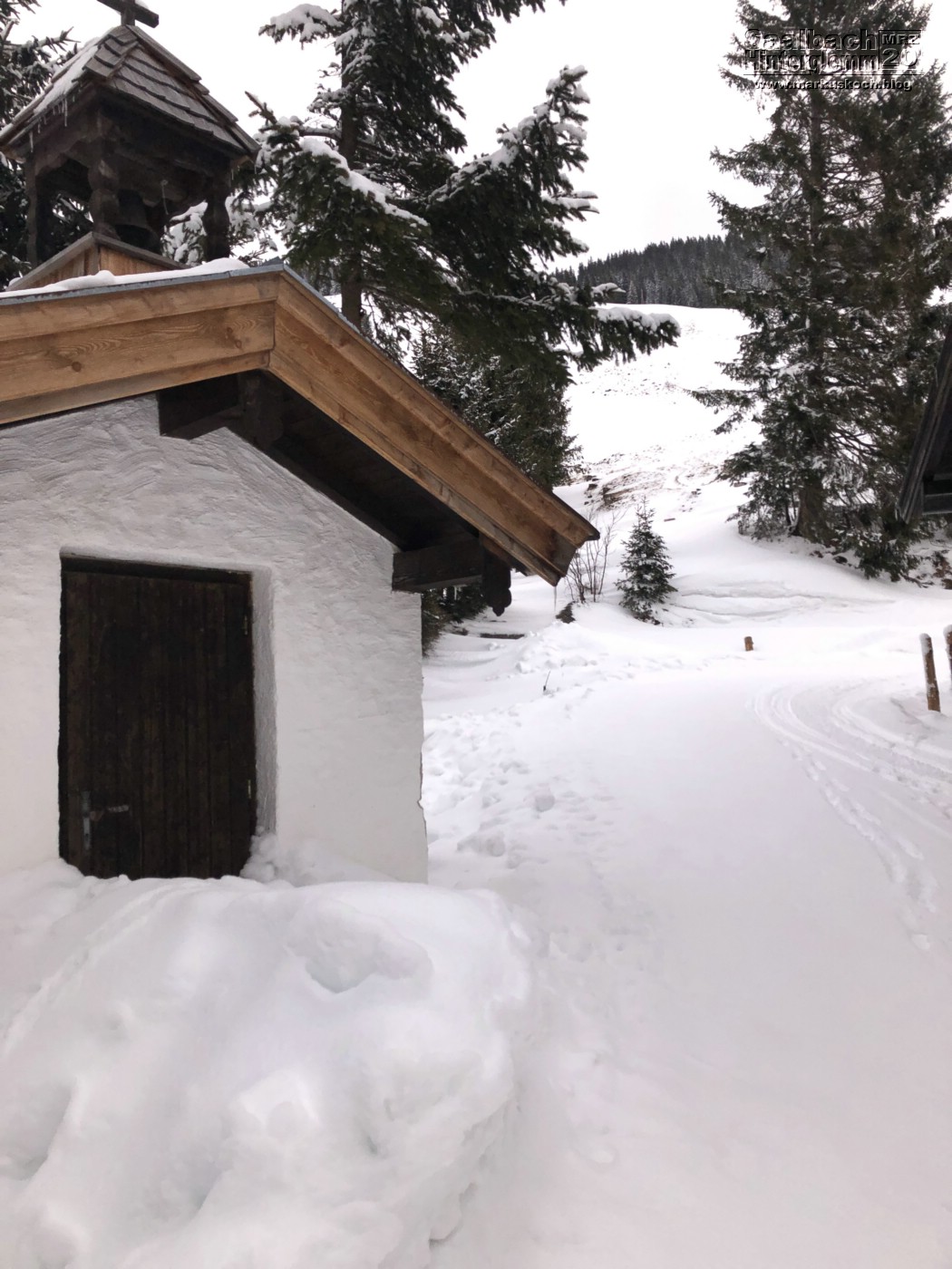 20200229-0307_skiing_saalbach-hinterglemm_mk184